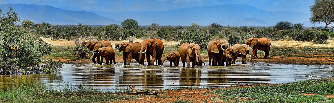 southafricaslider1.jpg